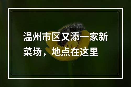 温州市区又添一家新菜场，地点在这里