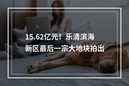 15.62亿元！乐清滨海新区最后一宗大地块拍出