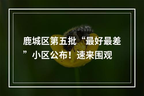 鹿城区第五批“最好最差”小区公布！速来围观