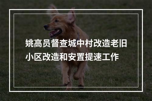 姚高员督查城中村改造老旧小区改造和安置提速工作