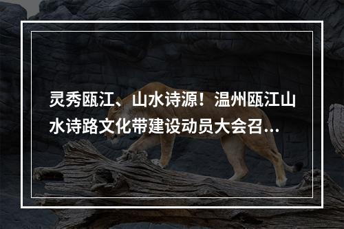 灵秀瓯江、山水诗源！温州瓯江山水诗路文化带建设动员大会召开