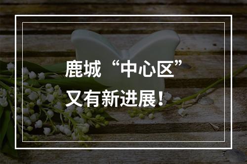 鹿城“中心区”又有新进展！