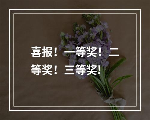 喜报！一等奖！二等奖！三等奖!