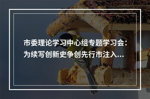 市委理论学习中心组专题学习会：为续写创新史争创先行市注入强大动力