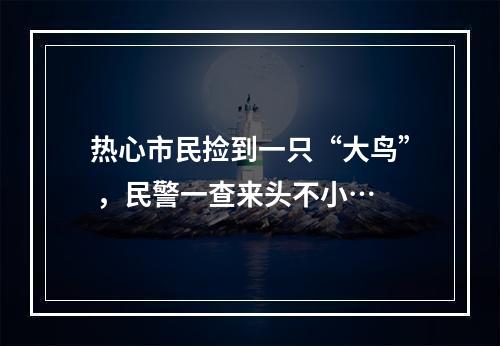 热心市民捡到一只“大鸟” ，民警一查来头不小…