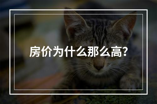 房价为什么那么高？