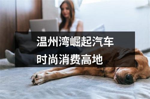 温州湾崛起汽车时尚消费高地