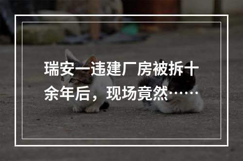 瑞安一违建厂房被拆十余年后，现场竟然……