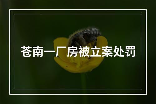 苍南一厂房被立案处罚