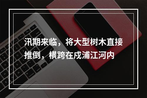 汛期来临，将大型树木直接推倒，横跨在戍浦江河内