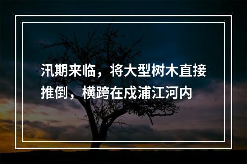 汛期来临，将大型树木直接推倒，横跨在戍浦江河内