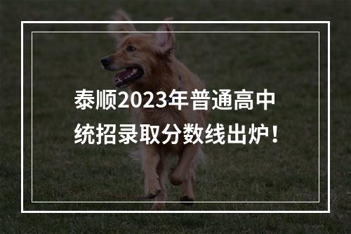 泰顺2023年普通高中统招录取分数线出炉！