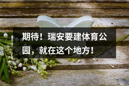 期待！瑞安要建体育公园，就在这个地方！