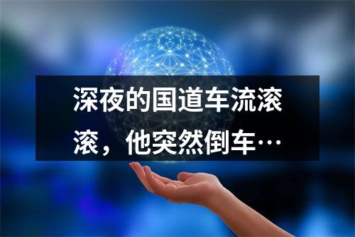 深夜的国道车流滚滚，他突然倒车…