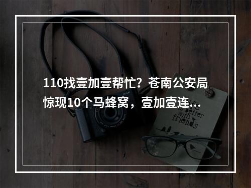 110找壹加壹帮忙？苍南公安局惊现10个马蜂窝，壹加壹连夜处置