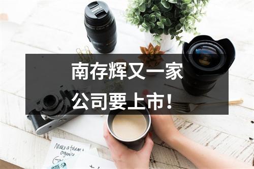 南存辉又一家公司要上市！