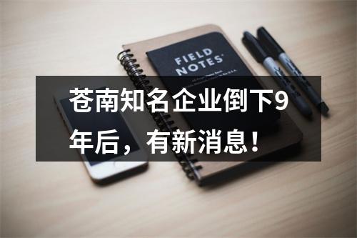 苍南知名企业倒下9年后，有新消息！