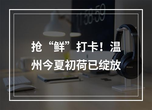 抢“鲜”打卡！温州今夏初荷已绽放