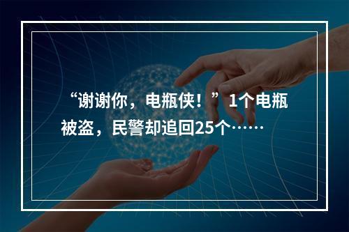 “谢谢你，电瓶侠！”1个电瓶被盗，民警却追回25个……