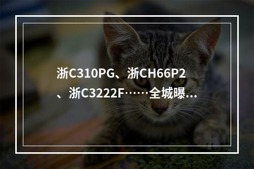 浙C310PG、浙CH66P2、浙C3222F……全城曝光！