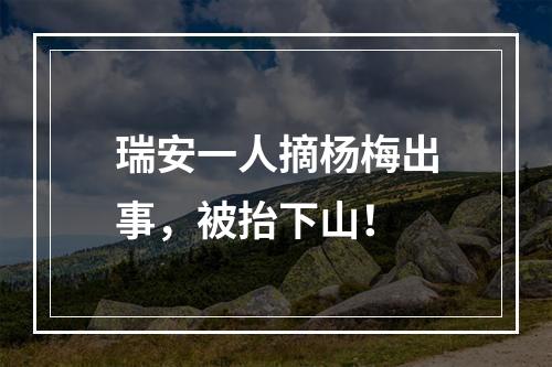 瑞安一人摘杨梅出事，被抬下山！
