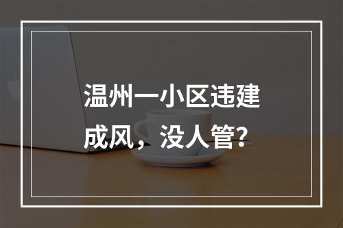 温州一小区违建成风，没人管？