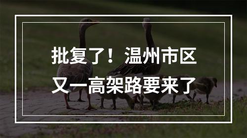 批复了！温州市区又一高架路要来了