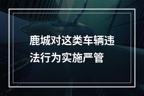鹿城对这类车辆违法行为实施严管