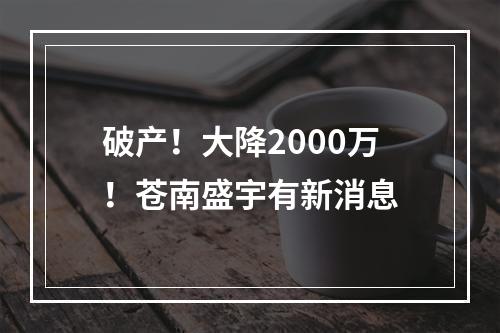 破产！大降2000万！苍南盛宇有新消息