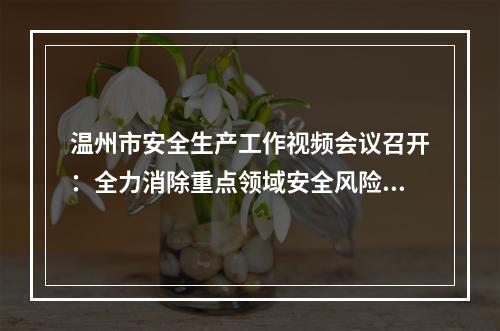 温州市安全生产工作视频会议召开：全力消除重点领域安全风险隐患
