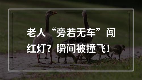老人“旁若无车”闯红灯？瞬间被撞飞！
