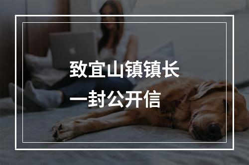 致宜山镇镇长一封公开信