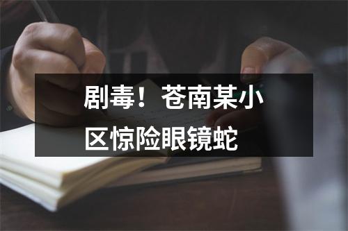 剧毒！苍南某小区惊险眼镜蛇