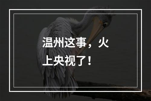 温州这事，火上央视了！