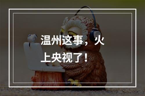 温州这事，火上央视了！