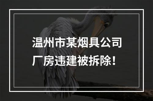 温州市某烟具公司厂房违建被拆除！