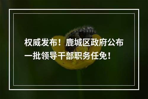 权威发布！鹿城区政府公布一批领导干部职务任免！