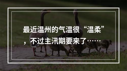 最近温州的气温很“温柔”，不过主汛期要来了……