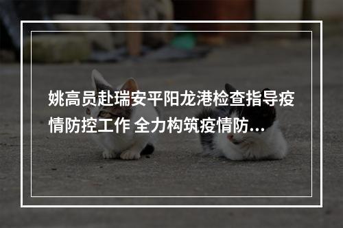 姚高员赴瑞安平阳龙港检查指导疫情防控工作 全力构筑疫情防控的铜墙铁壁