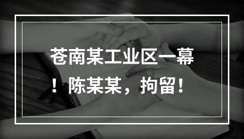 苍南某工业区一幕！陈某某，拘留！