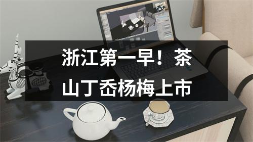 浙江第一早！茶山丁岙杨梅上市