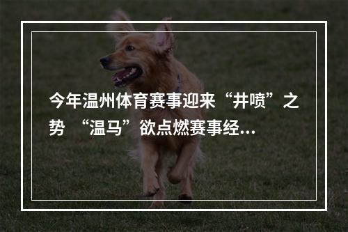 今年温州体育赛事迎来“井喷”之势  “温马”欲点燃赛事经济第一把火
