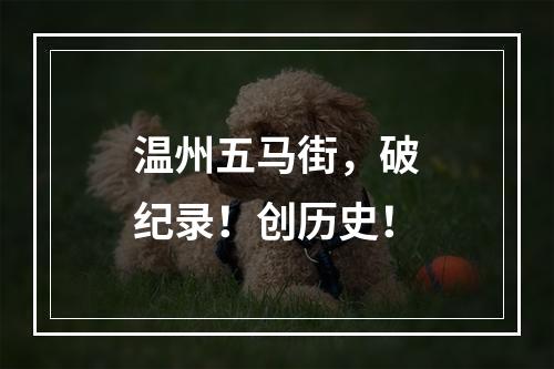 温州五马街，破纪录！创历史！