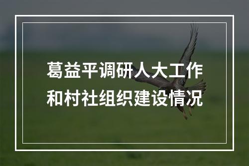 葛益平调研人大工作和村社组织建设情况
