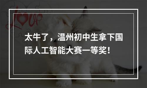 太牛了，温州初中生拿下国际人工智能大赛一等奖！
