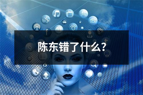 陈东错了什么？