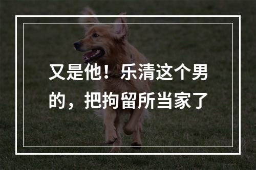 又是他！乐清这个男的，把拘留所当家了