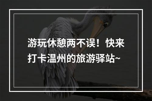 游玩休憩两不误！快来打卡温州的旅游驿站~