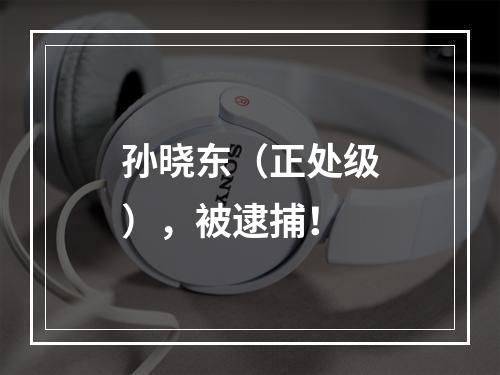 孙晓东（正处级），被逮捕！