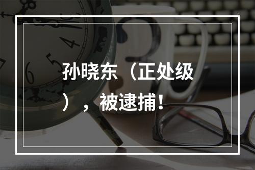 孙晓东（正处级），被逮捕！
